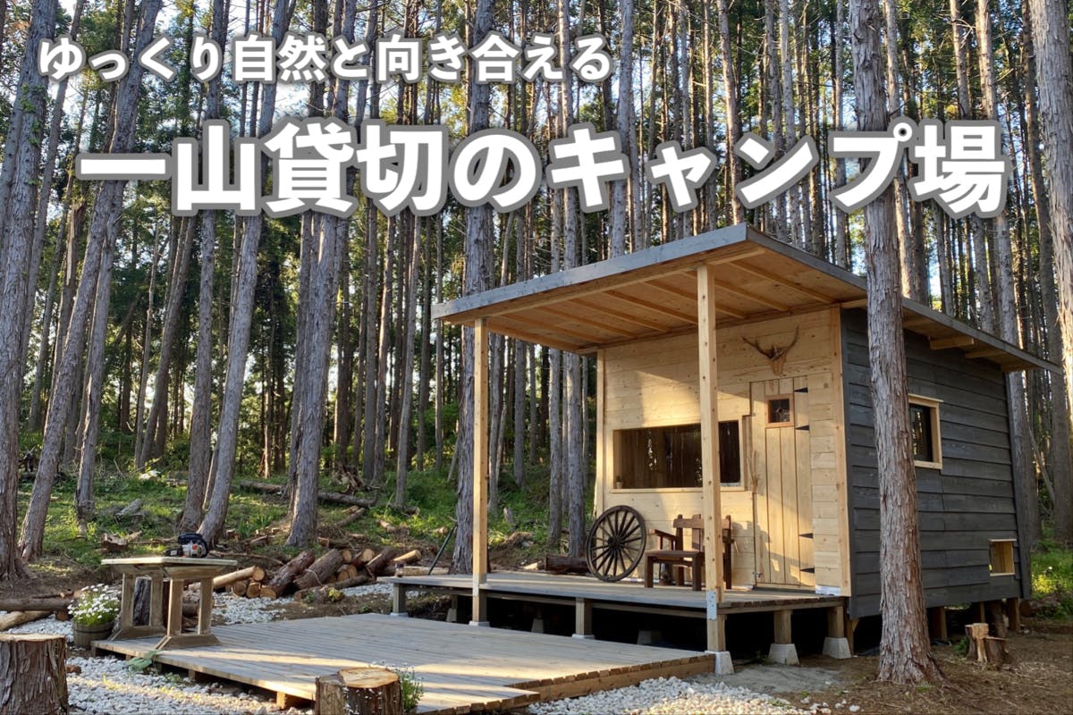 キャンプ場・グランピング場オーナーさん必見！】○業務用○針葉樹薪