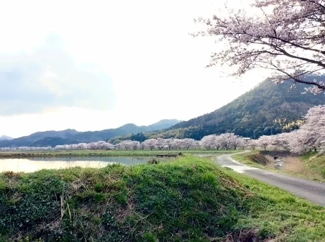 3番目のメイン画像