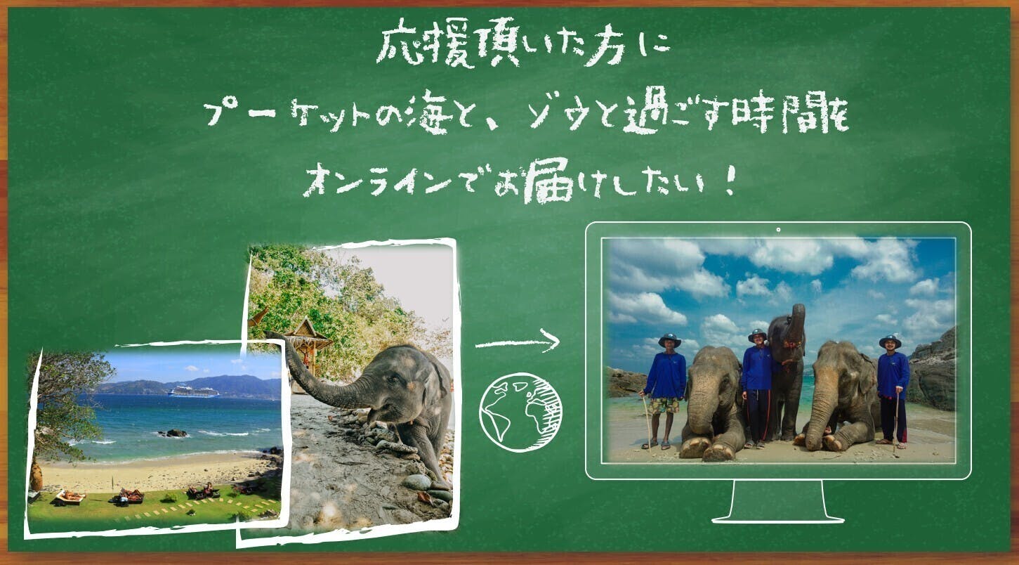 会えるまではオンラインで コロナの影響を受けるタイの象にエールを送りたい Campfire キャンプファイヤー 会えるまではオンラインで コロナの影響を受けるタイの象にエールを送りたい Campfire キャンプファイヤー