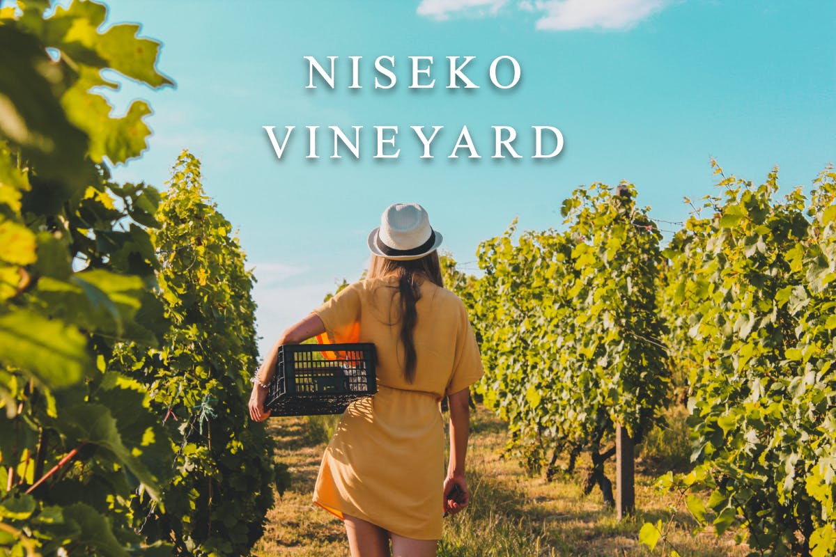 日本一クリエイティブなワインコミュニティ “NISEKO VINEYARD”