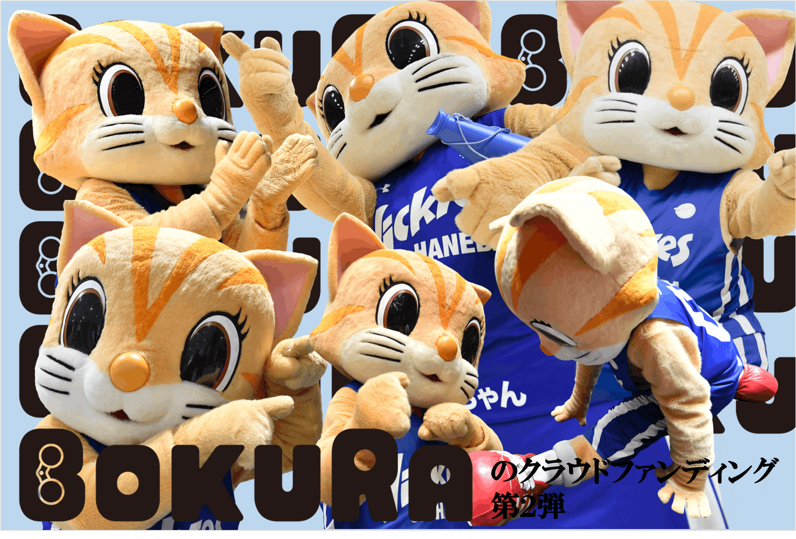 あと9日 Bリーグマスコットキャラクターを支援しよう Campfire キャンプファイヤー あと9日 Bリーグマスコットキャラクターを支援しよう Campfire キャンプファイヤー