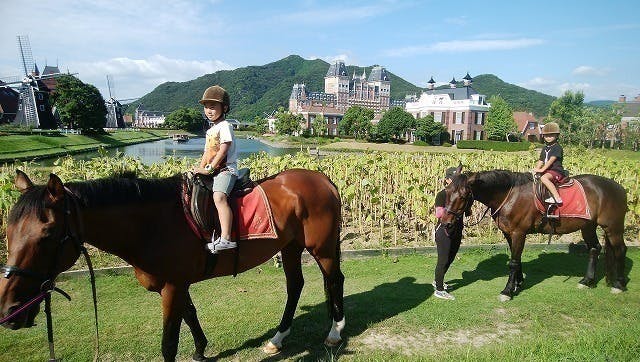 ハウステンボスでお客様を笑顔にしてくれる馬たちの 変わらぬ日常 を守りたい Campfire キャンプファイヤー ハウステンボスでお客様を笑顔にしてくれる馬たちの 変わらぬ日常 を守りたい Campfire キャンプファイヤー