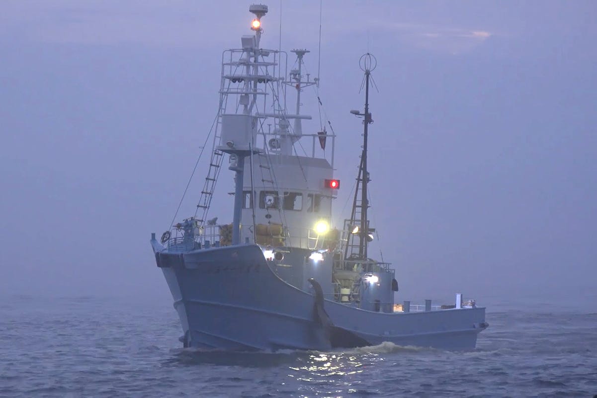 鯨を愛することと食べることは矛盾しない 映画 ひみつくじら で世界を納得させたい Campfire キャンプファイヤー 鯨を愛することと食べることは矛盾しない 映画 ひみつくじら で世界を納得させたい Campfire キャンプファイヤー