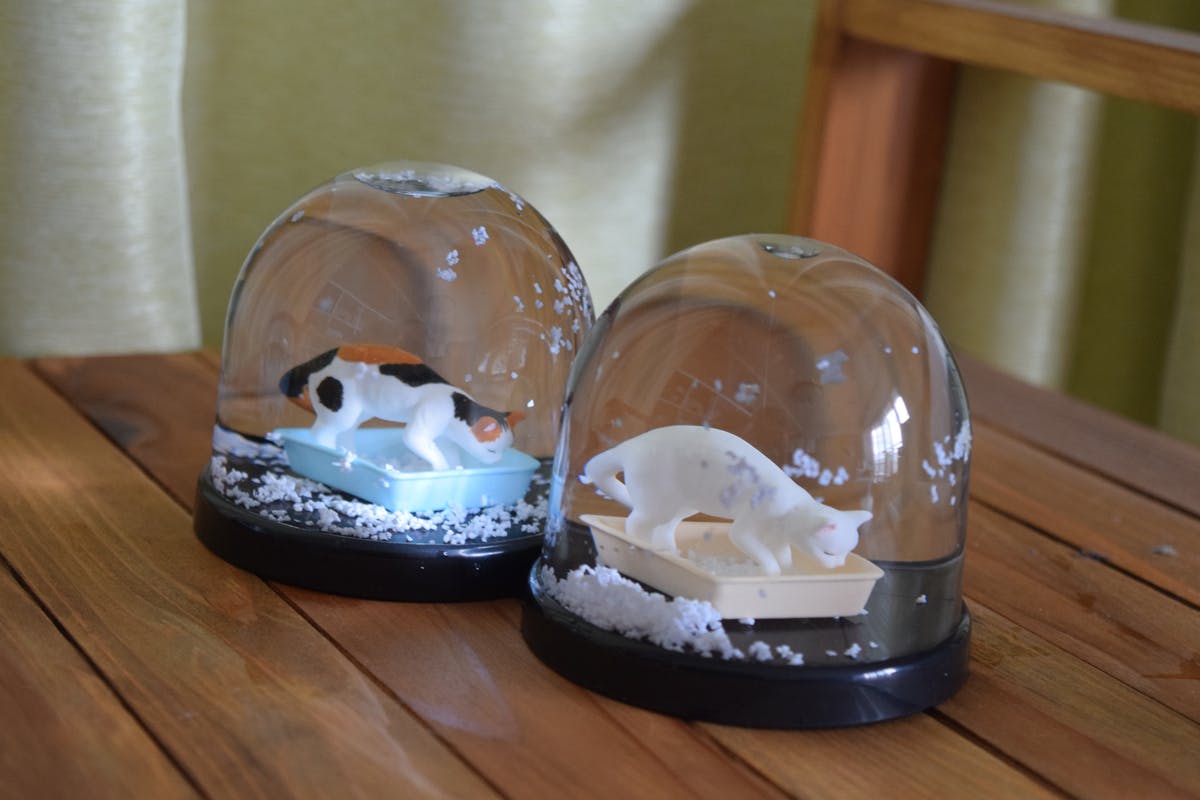 散らかすな と思わず言いたくなるあのシーンを再現 猫砂スノードーム Campfire キャンプファイヤー 散らかすな と思わず言いたくなるあのシーンを再現 猫砂スノードーム Campfire キャンプファイヤー