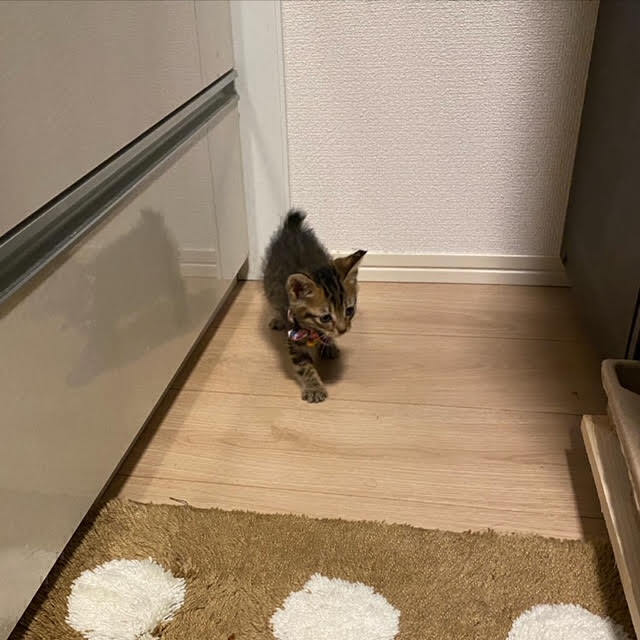 5番目のメイン画像