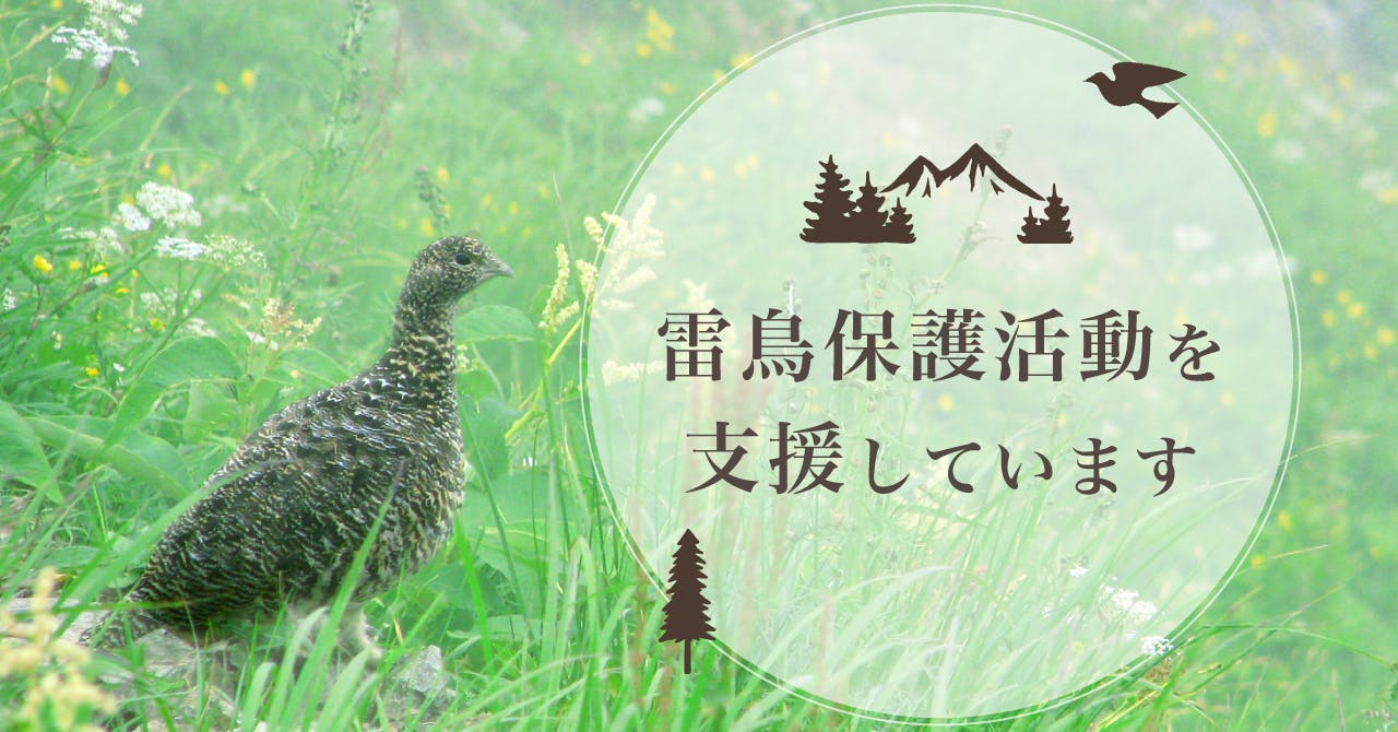 みんなで雷鳥保護を支援しよう 雷鳥とアウトドアユーザーのかけ橋になりたい Campfire キャンプファイヤー みんなで雷鳥保護を支援しよう 雷鳥とアウトドアユーザーのかけ橋になりたい Campfire キャンプファイヤー