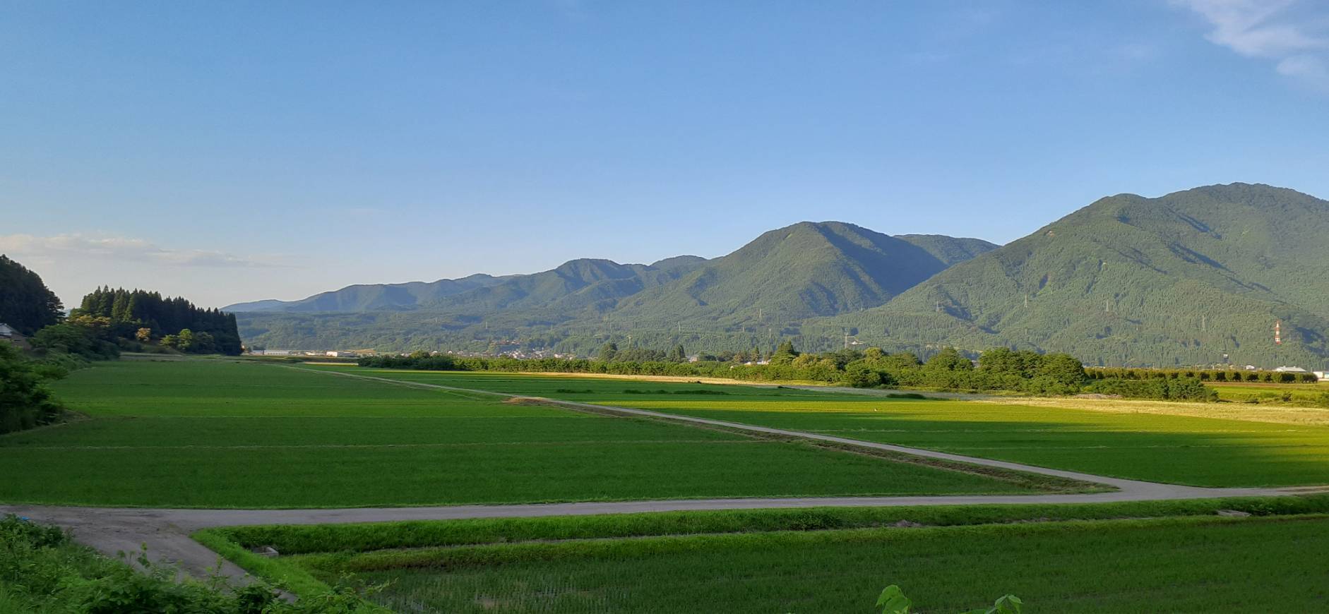 2番目のメイン画像