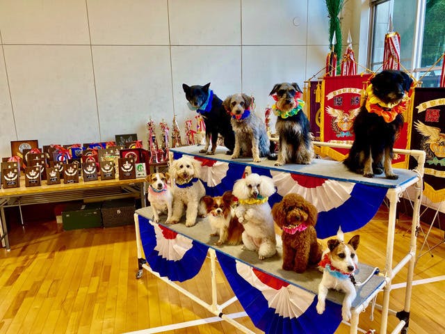 5番目のメイン画像