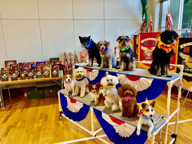 5番目のメイン画像