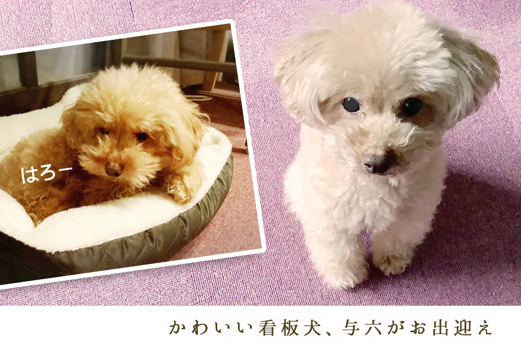 5番目のメイン画像