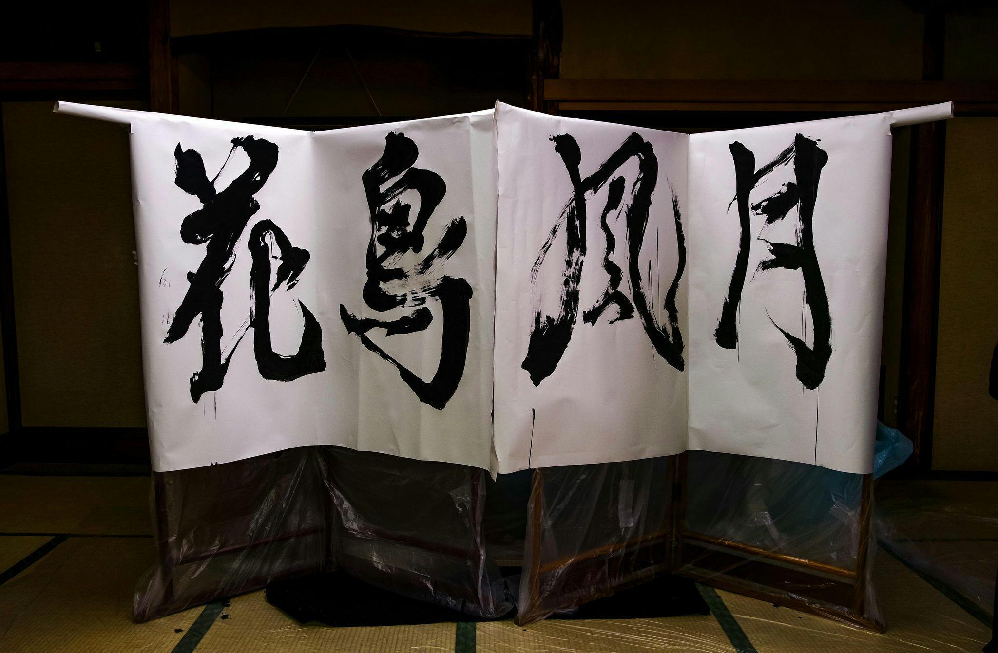 女流書道家の挑戦 日本の四季をテーマに自然との繋がりを感じる個展を開催したい Campfire キャンプファイヤー 女流書道家の挑戦 日本の四季をテーマに自然との繋がりを感じる個展を開催したい Campfire キャンプファイヤー
