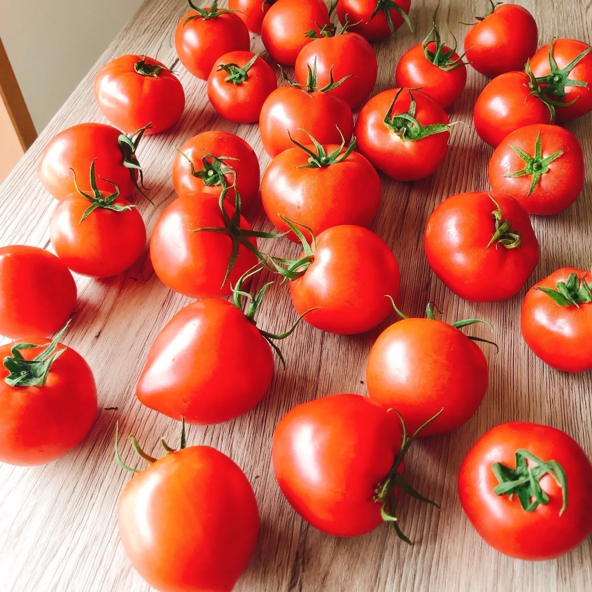 全国の子どもたちに平等な食育学習を届けたい 野菜が好きになる魔法の授業 Campfire キャンプファイヤー 全国の子どもたちに平等な食育学習を届けたい 野菜が好きになる魔法の授業 Campfire キャンプファイヤー