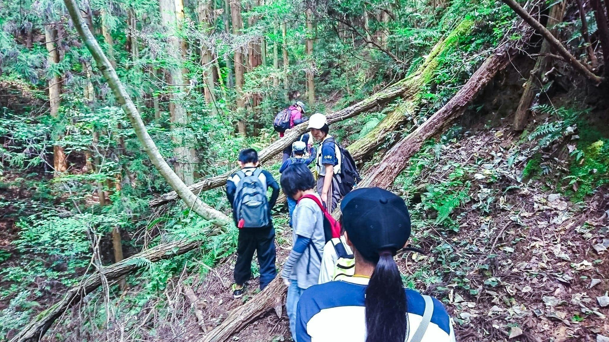 大自然で遊び 学ぶ 身体づくり 心づくりの療育の為 活動基地タッチ を作りたい Campfire キャンプファイヤー 大自然で遊び 学ぶ 身体づくり 心づくりの療育の為 活動基地タッチ を作りたい Campfire キャンプファイヤー