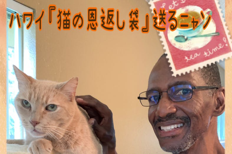 Aloha!ハワイに住む野良猫ちゃん達をHappyに!お力を貸してくれませんか?