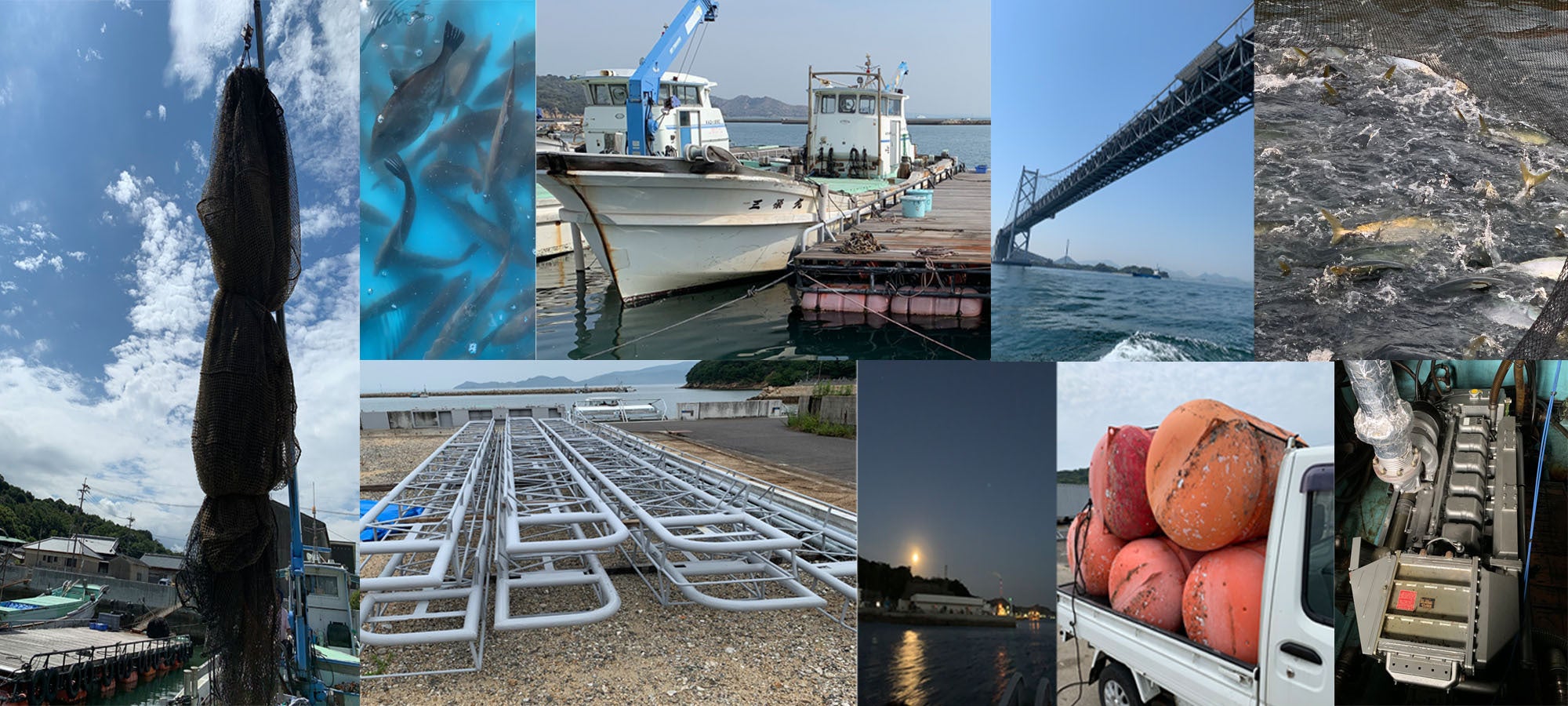 香川県直島町で父が残してくれたハマチの養殖業を復活させたい Campfire キャンプファイヤー 香川県直島町で父が残してくれたハマチの養殖業を復活させたい Campfire キャンプファイヤー