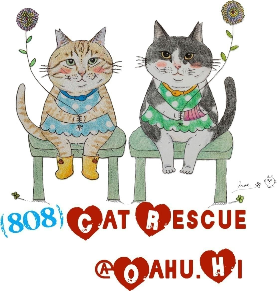 Hawaii から 猫の恩返し袋 第二弾 Campfire キャンプファイヤー Hawaii から 猫の恩返し袋 第二弾 Campfire キャンプファイヤー