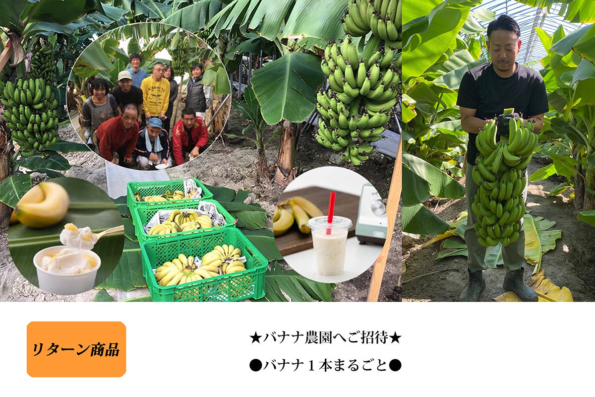 爆弾低気圧による大寒波で破損したバナナ農園を再生し、みんな食堂に