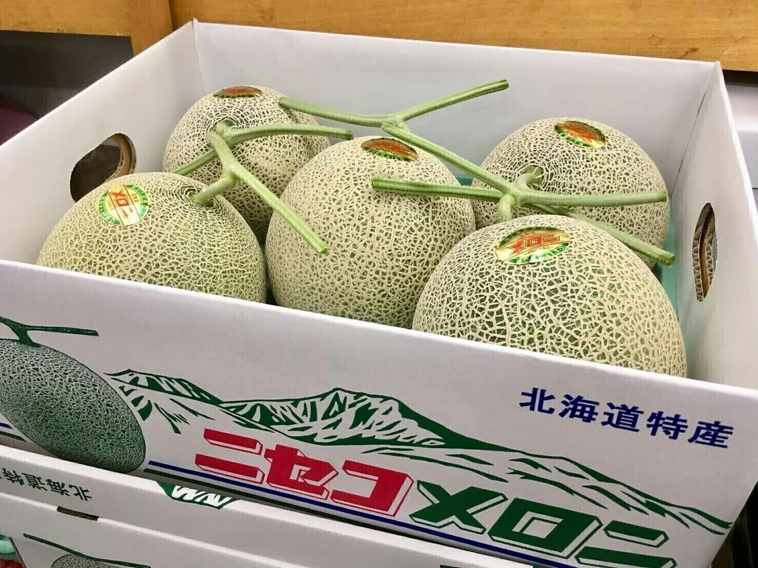 北海道 富良野メロン 摘果メロン子メロン 10kg✖️ニ箱有機肥料無農薬