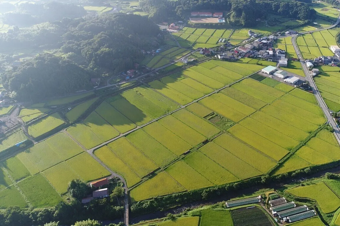 3番目のメイン画像