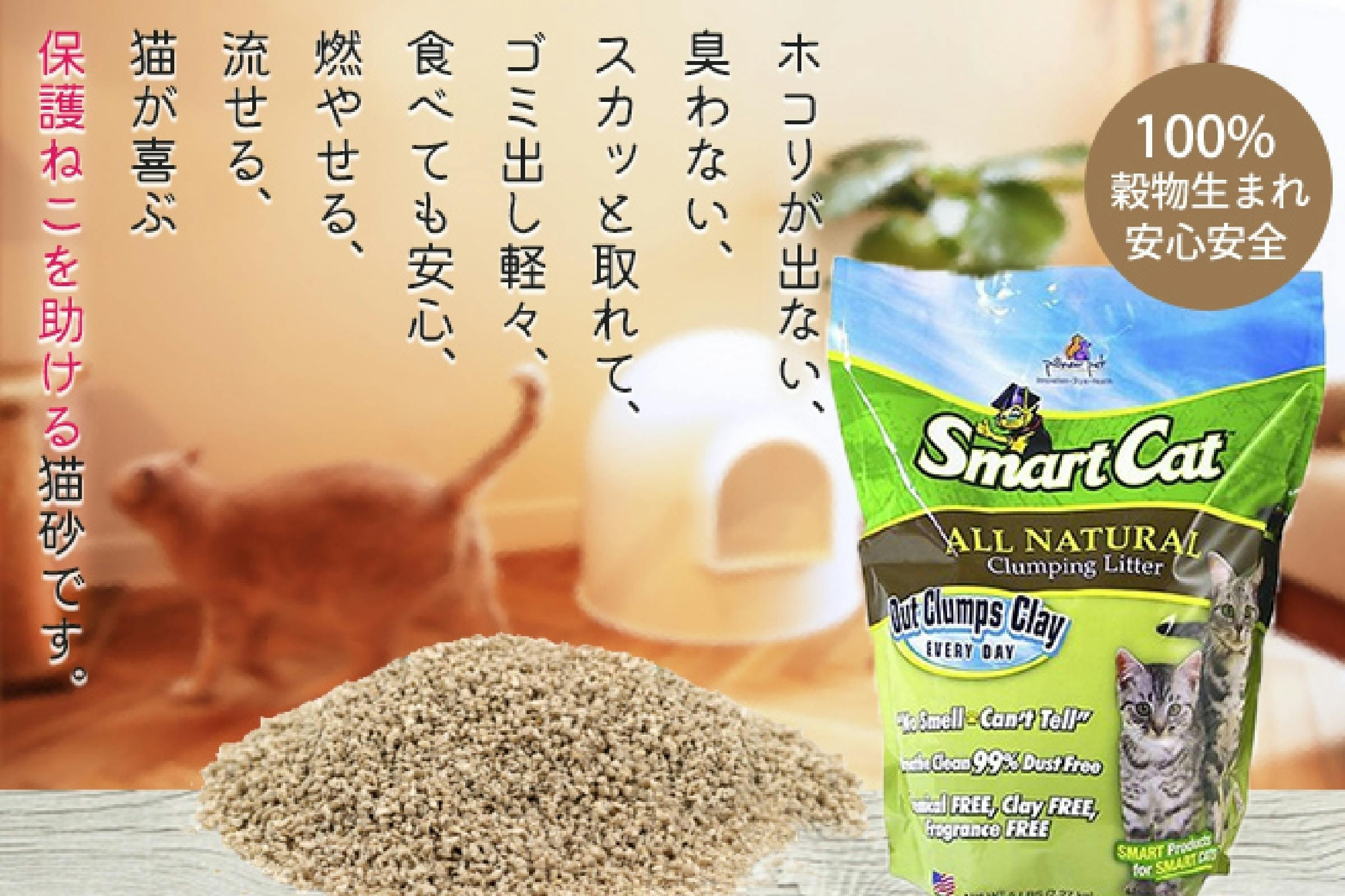 猫砂やグッズを買って保護ねこ施設をご支援ください Campfire キャンプファイヤー 猫砂やグッズを買って保護ねこ施設をご支援ください Campfire キャンプファイヤー