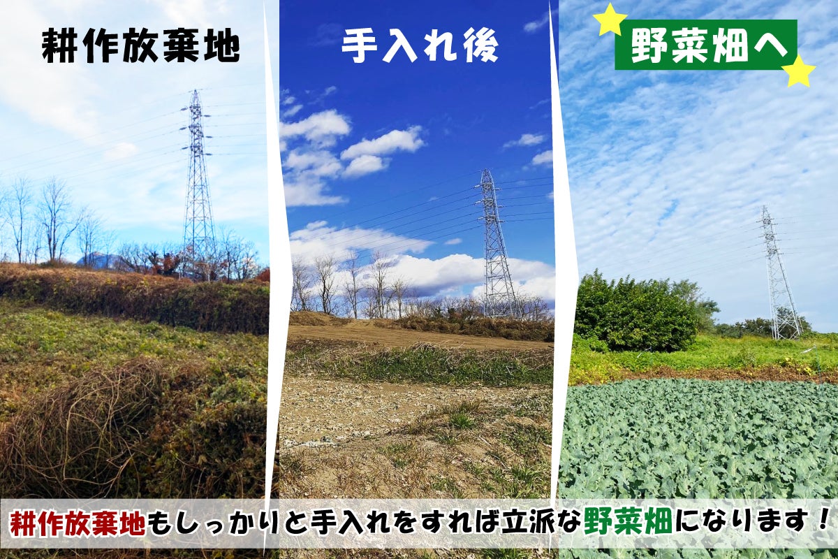 2番目のメイン画像