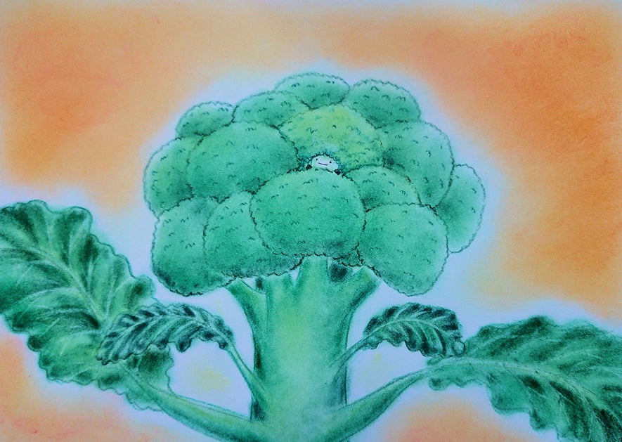 北海道の図書館に届けたい 大人にも勇気を与えてくれるブロッコリーの絵本 Campfire キャンプファイヤー