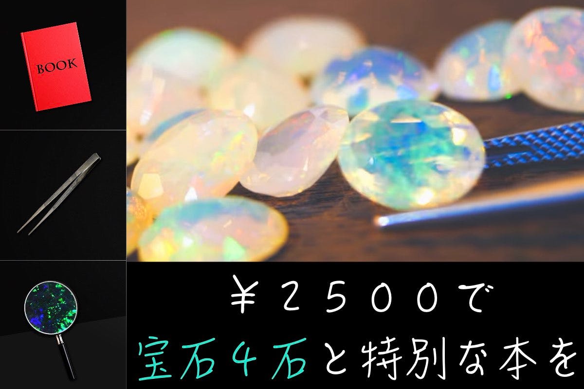 究極のアソビをあなたに。 -宝石を楽しむサロン-