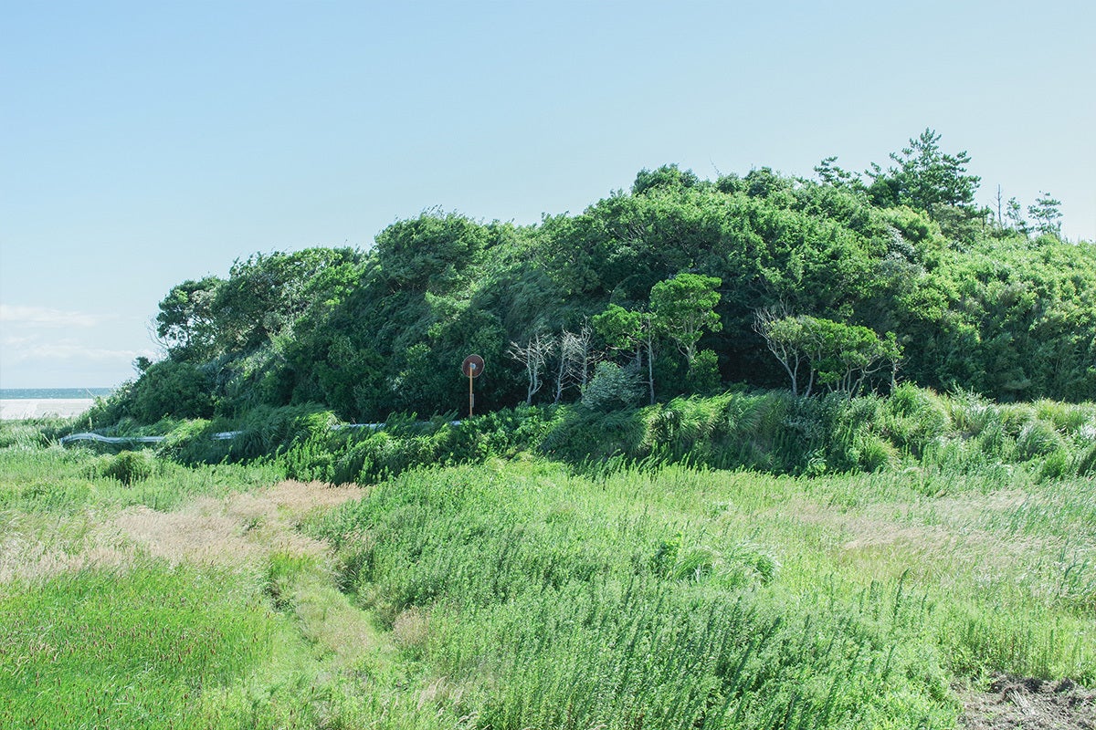 見た目では分からない風景の記憶。福島で撮ってきた写真を写真集として 見た目では分からない風景の記憶。福島で撮ってきた写真を写真集として
