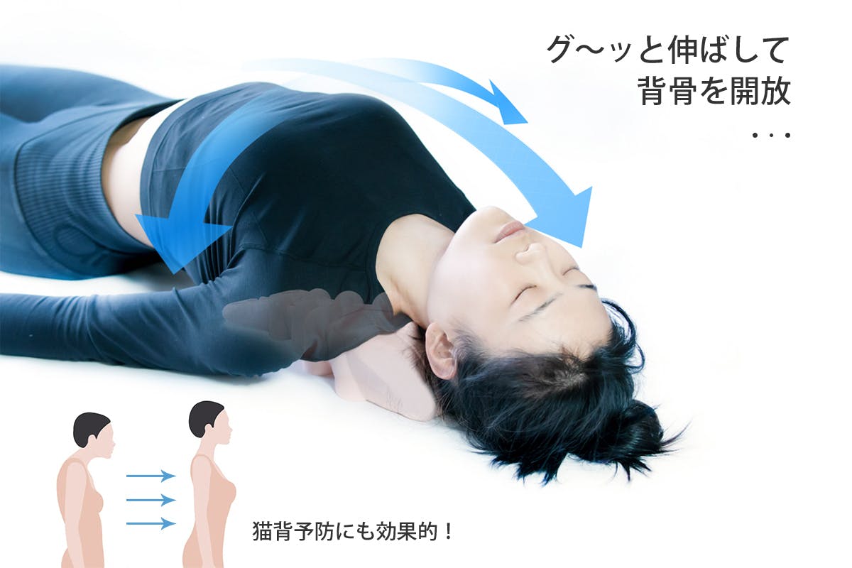 長引くおうち時間にプロの指圧を 指圧代用枕 Lobster プロジェクトスタート Campfire キャンプファイヤー 長引くおうち時間にプロの指圧を 指圧代用枕 Lobster プロジェクトスタート Campfire キャンプファイヤー