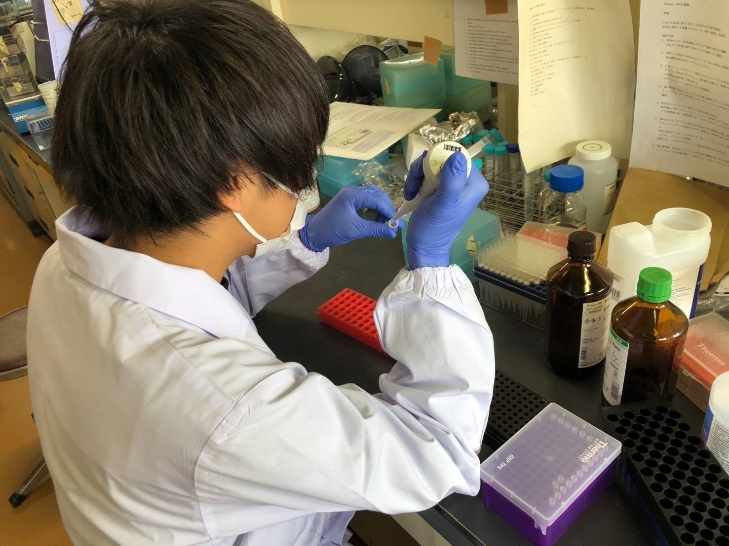 2番目のメイン画像