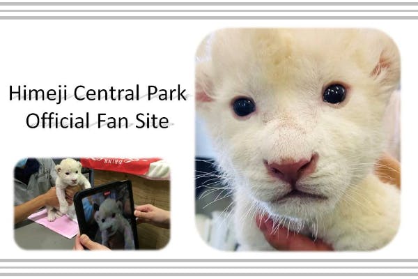 姫路セントラルパーク オフィシャルファンサイト Campfireコミュニティ