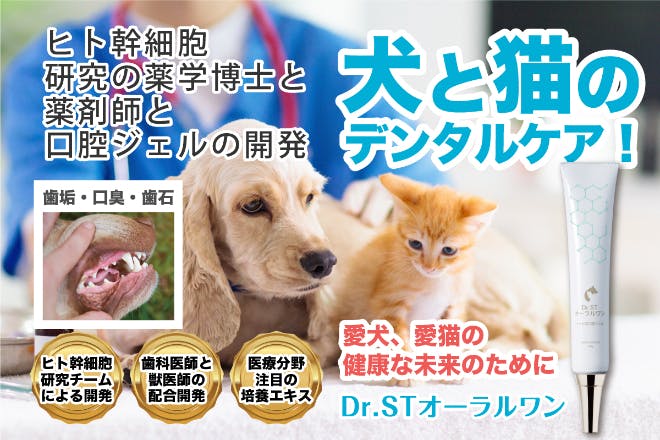 ヒト幹細胞研究チームの博士と共同開発 犬と猫のお口の健康維持と元気な未来を願う Campfire キャンプファイヤー