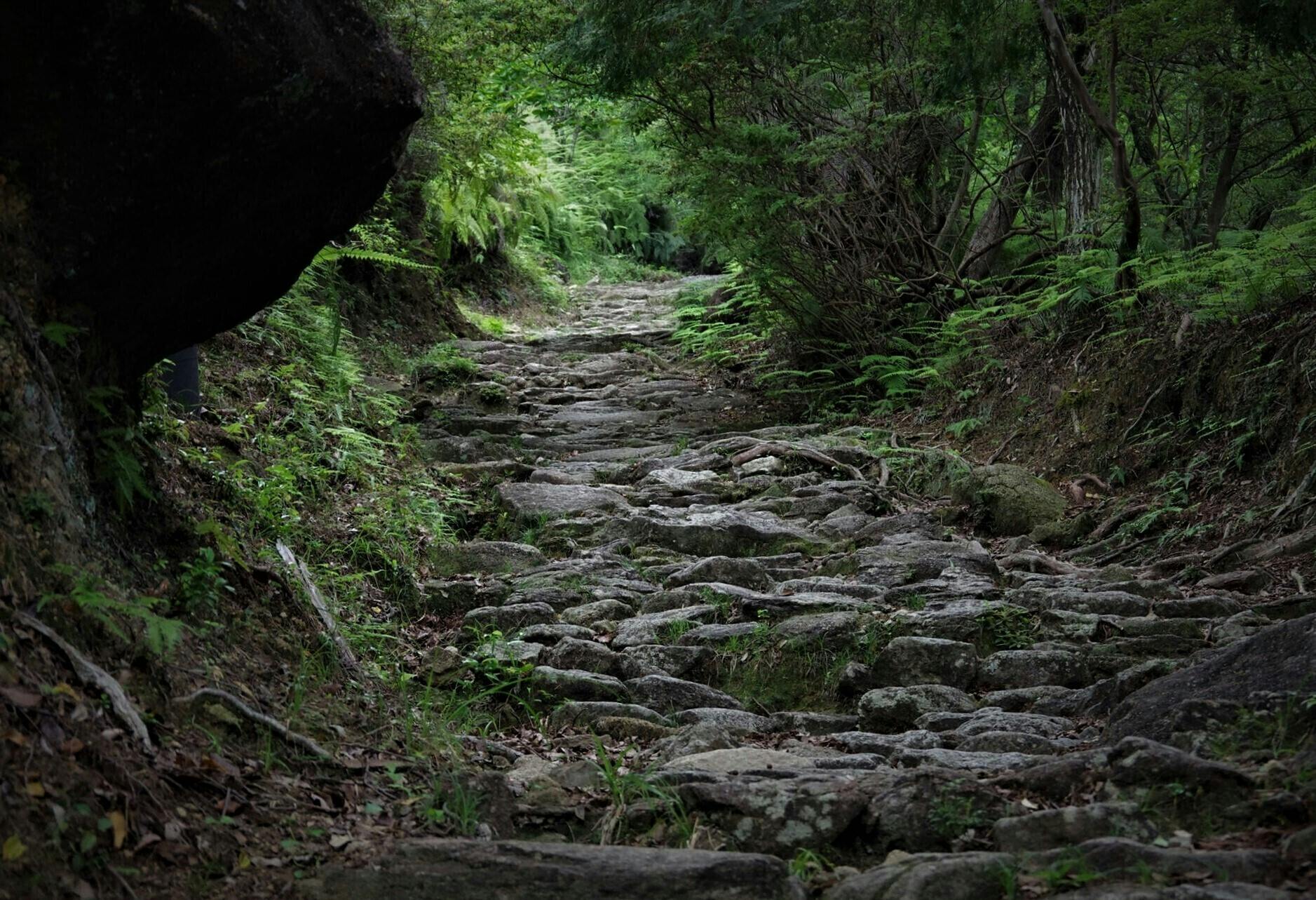 知られざる世界遺産 熊野古道伊勢路 をオンラインツアーで広めたい Campfire キャンプファイヤー 知られざる世界遺産 熊野古道伊勢路 をオンラインツアーで広めたい Campfire キャンプファイヤー