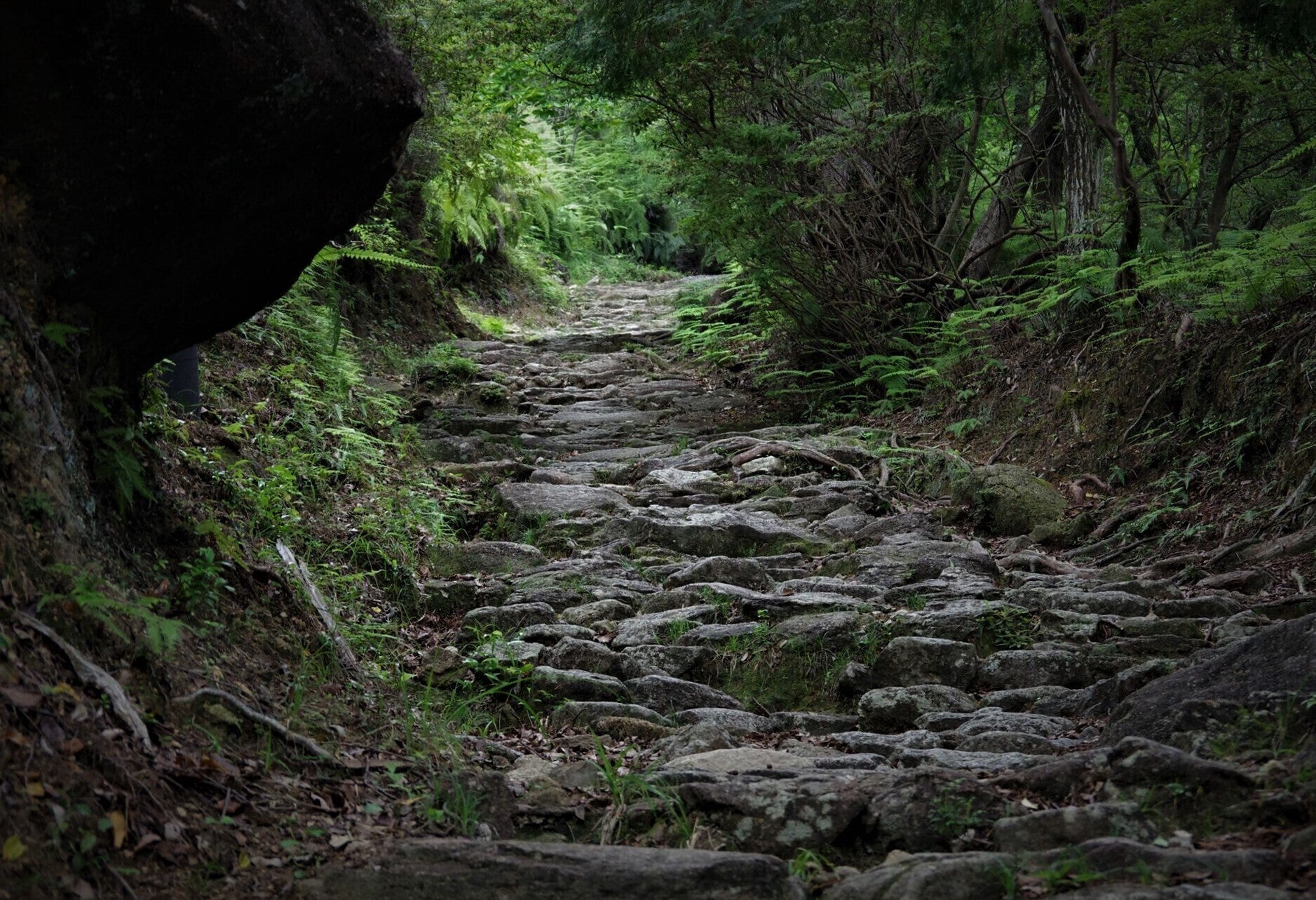 知られざる世界遺産 熊野古道伊勢路 をオンラインツアーで広めたい Campfire キャンプファイヤー 知られざる世界遺産 熊野古道伊勢路 をオンラインツアーで広めたい Campfire キャンプファイヤー