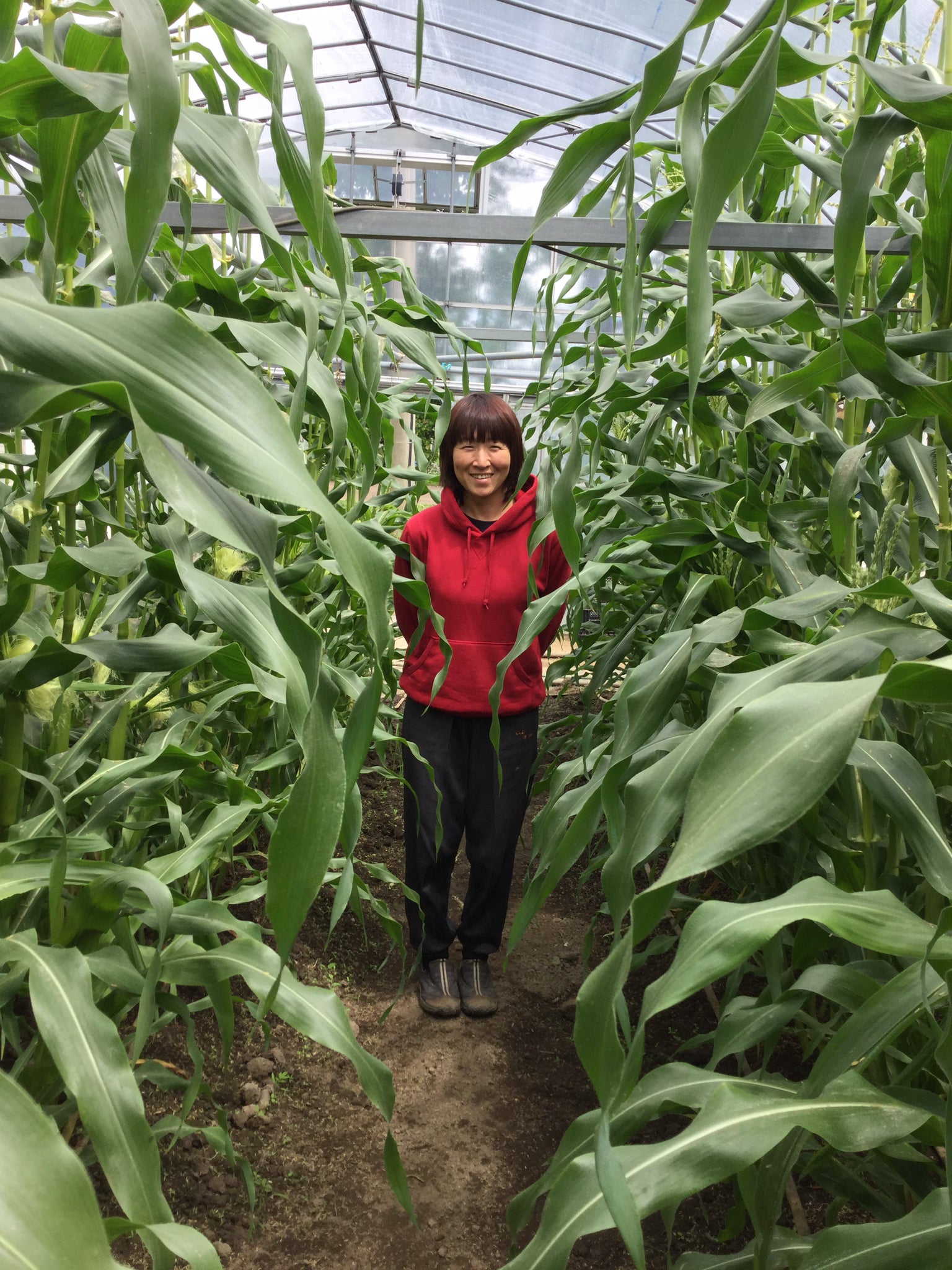 2番目のメイン画像