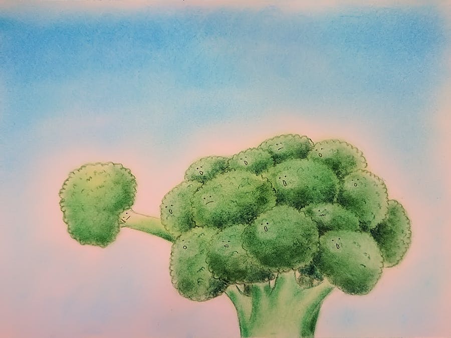 北海道の図書館に届けたい 大人にも勇気を与えてくれるブロッコリーの絵本 Campfire キャンプファイヤー 北海道の図書館に届けたい 大人にも勇気を与えてくれるブロッコリーの絵本 Campfire キャンプファイヤー