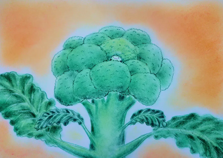 5番目のメイン画像