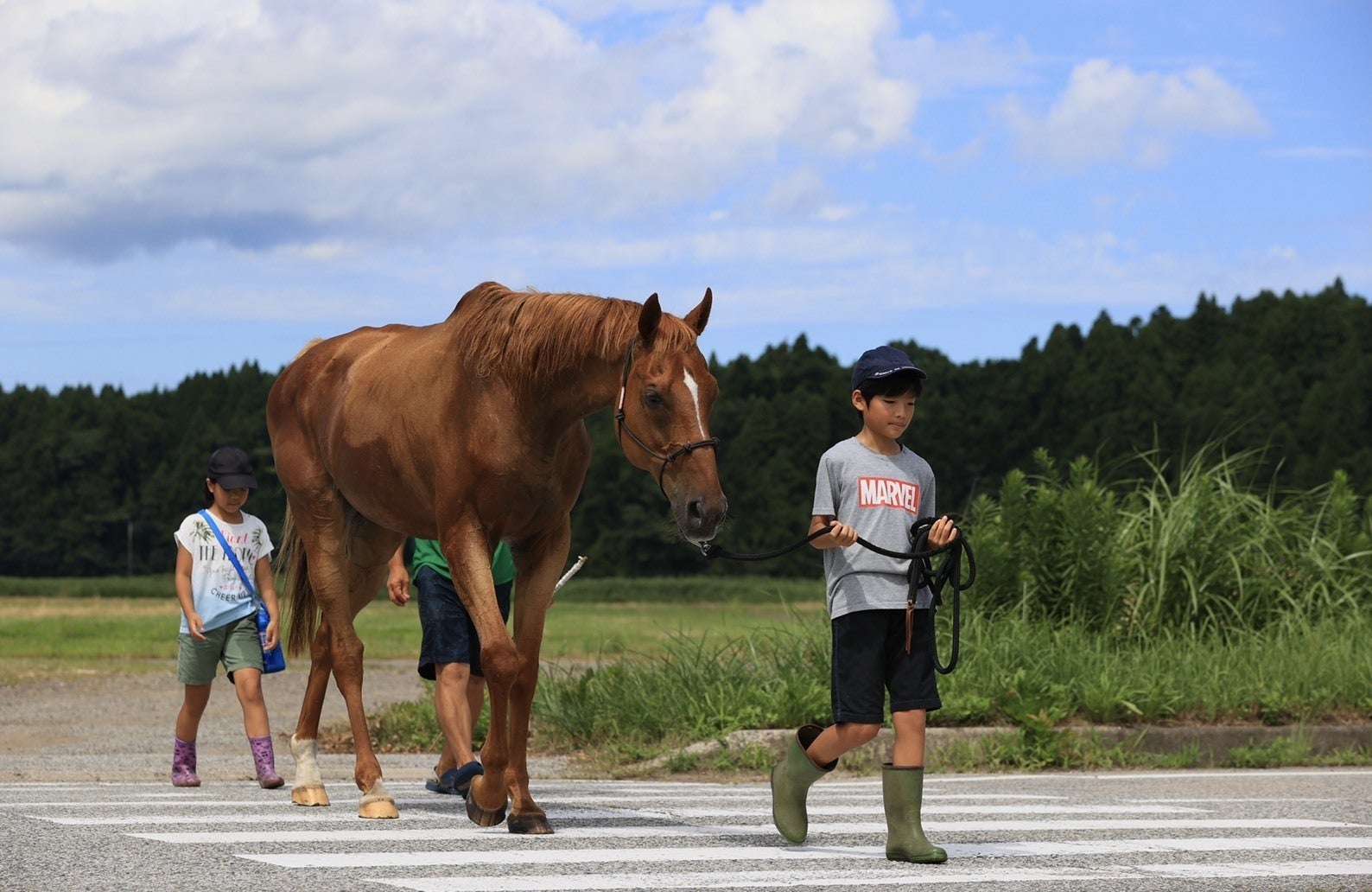5番目のメイン画像