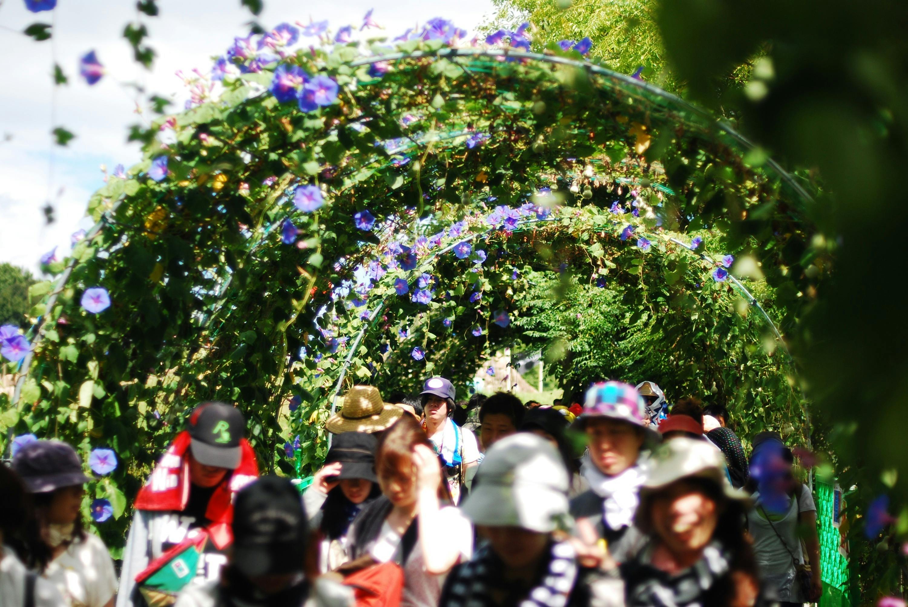 Monster Bash 22 を快適に過ごそう プロジェクト Campfire キャンプファイヤー Monster Bash 22 を快適に過ごそう プロジェクト Campfire キャンプファイヤー