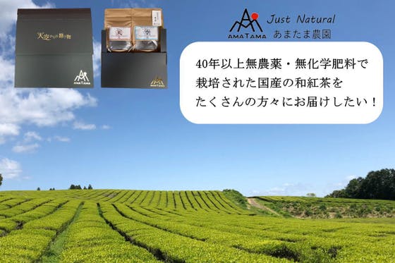 次世代に残したい茶畑！！天空の茶畑からつくった無農薬無化学肥料の