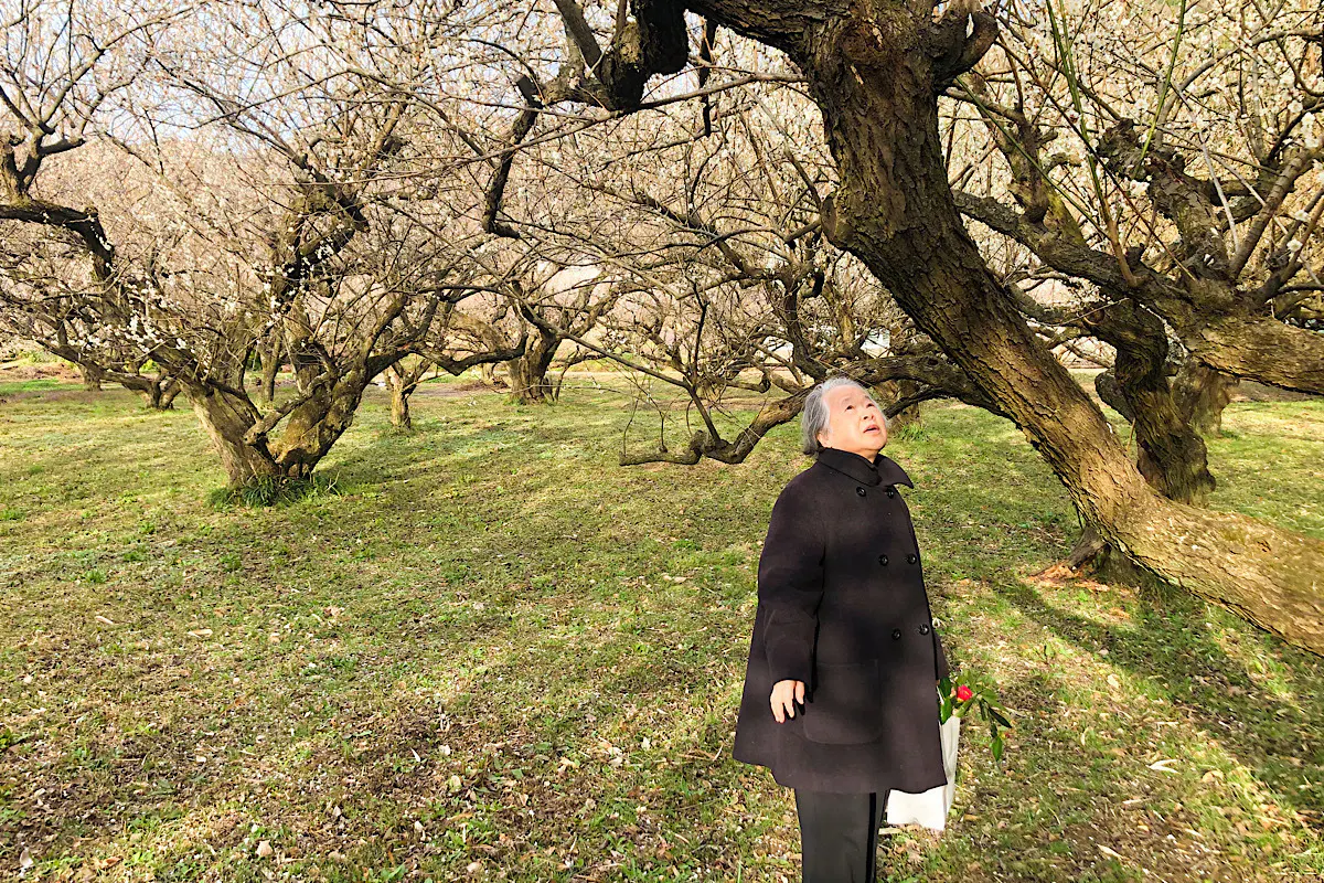 2番目のメイン画像