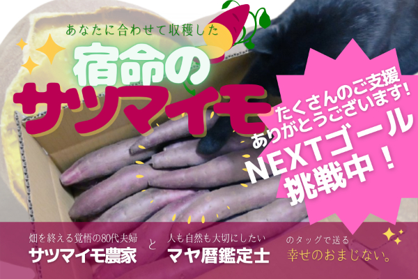話題のマヤ暦が農業とコラボ あなた専用 宿命のサツマイモ と出会おう Campfire キャンプファイヤー