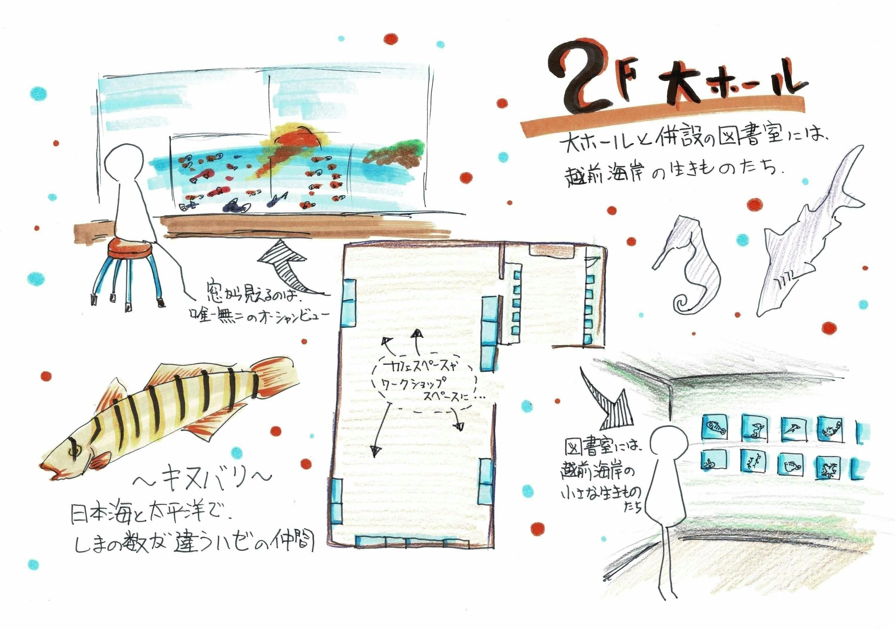 食用クラゲ Campfire キャンプファイヤー 食用クラゲ Campfire キャンプファイヤー