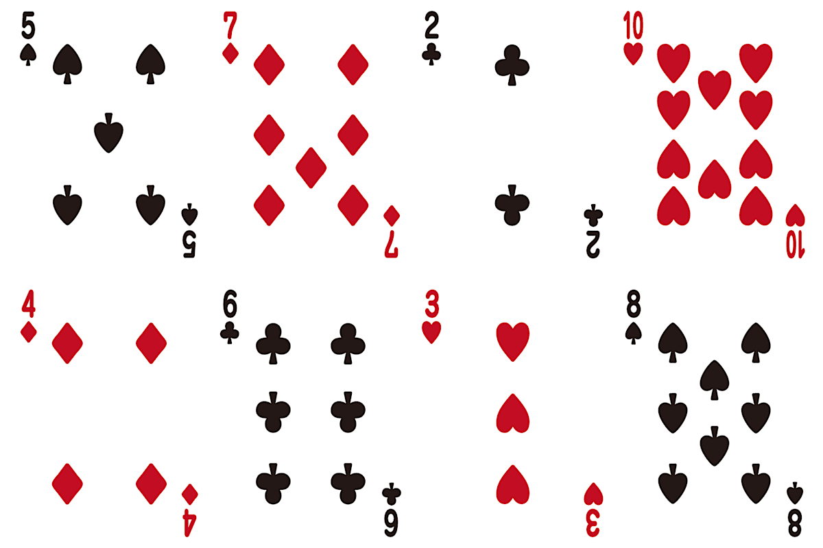 中学生がプロデュースしたトランプ The Hot Dog Deck 第2弾 Campfire キャンプファイヤー 中学生がプロデュースしたトランプ The Hot Dog Deck 第2弾 Campfire キャンプファイヤー