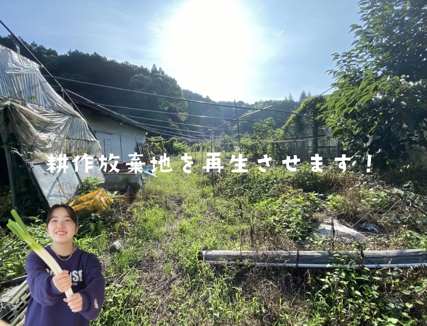 2番目のメイン画像