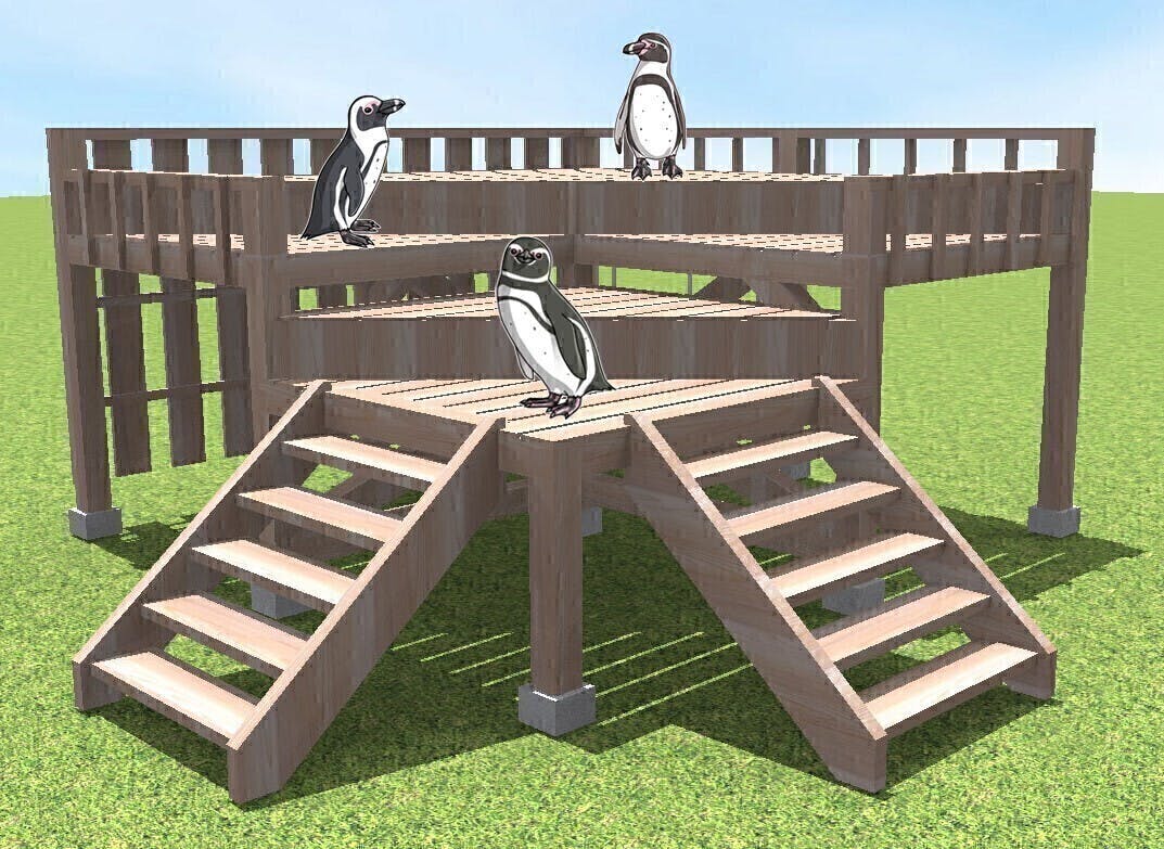 Diy大作戦 ペンギンを陽射しから守る小屋を建てよう Campfire キャンプファイヤー Diy大作戦 ペンギンを陽射しから守る小屋を建てよう Campfire キャンプファイヤー