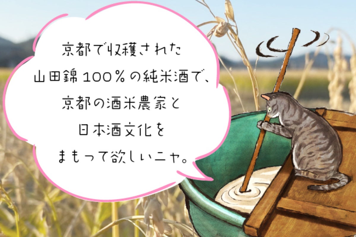 酒米農家と日本酒文化を守るため京都産山田錦の純米酒をたくさん飲んでもらいたい Campfire キャンプファイヤー