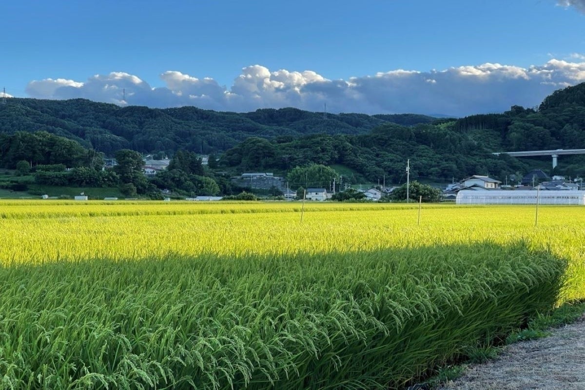 2番目のメイン画像