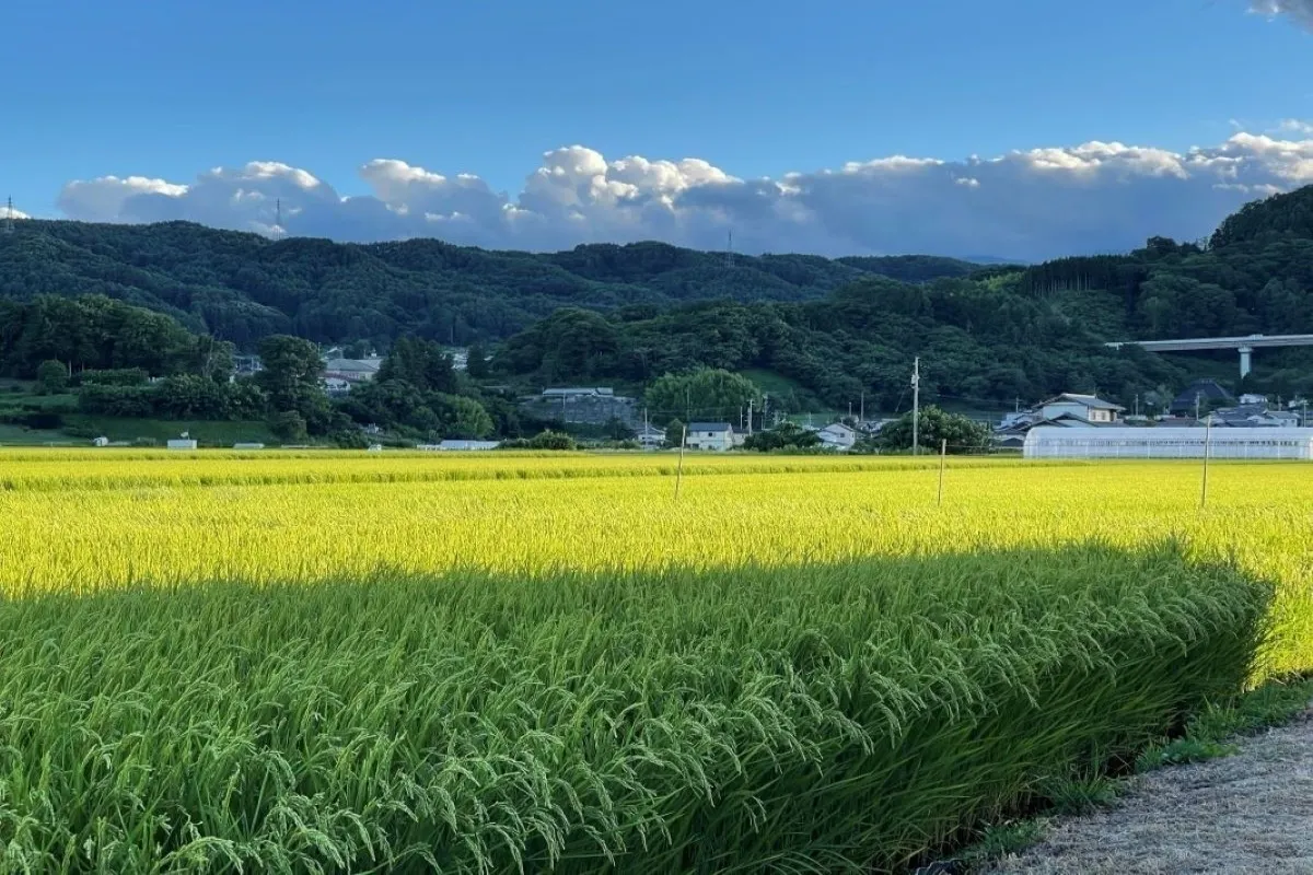 2番目のメイン画像