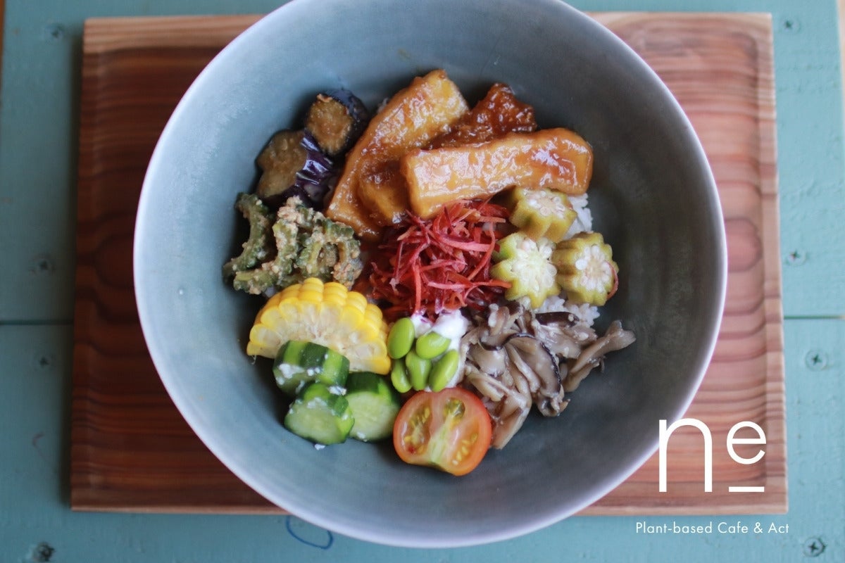 屋久島〜森で過ごす豊かな日常を〜Plant-based Cafe OPEN - CAMPFIRE